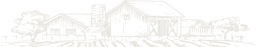 Branches background image