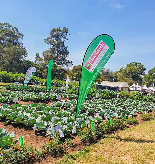 About us Image - Finetouch