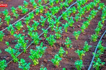 Drip Irrigation System Kit by Finetouch Finetouch article image