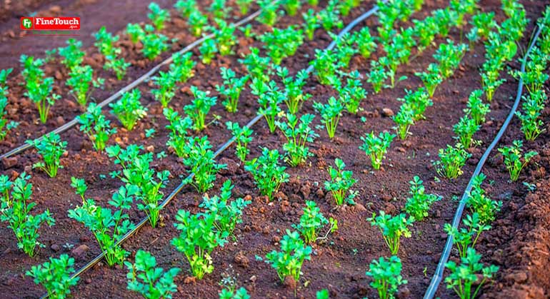 Finetouch Drip Irrigation Kit Finetouch blog Image