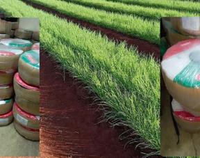 Finedrop Driplines  product image - Finetouch