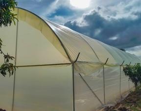 200 Micron UV Treated Greenhouse Polythene Film - Durable & Anti-Drip product image - Finetouch