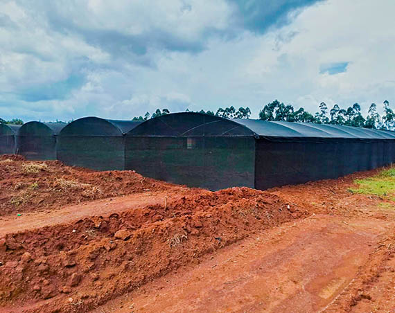 Finetouch Eldoret Shed Nets image